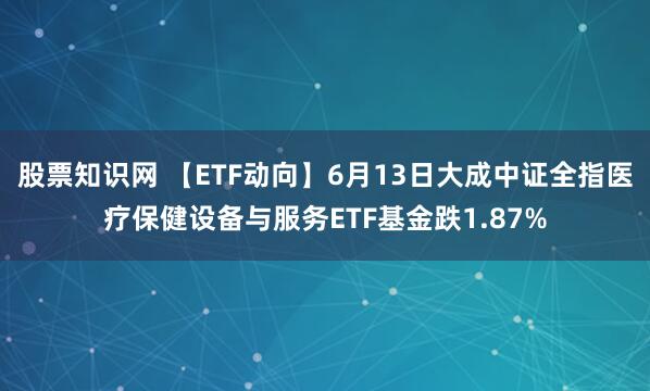 股票知识网 【ETF动向】6月13日大成中证全指医疗保健设备与服务ETF基金跌1.87%