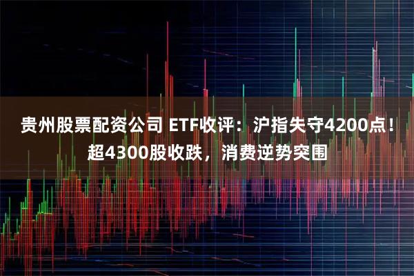 贵州股票配资公司 ETF收评：沪指失守4200点！超4300股收跌，消费逆势突围